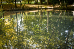 Autumn in Vienna - Mirroring