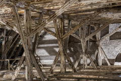 WG-20220707-9598